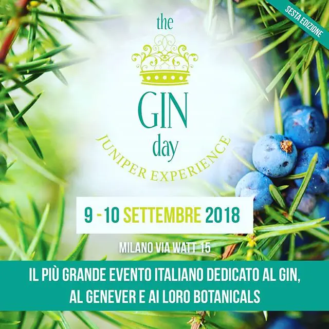 gin-day-collesi