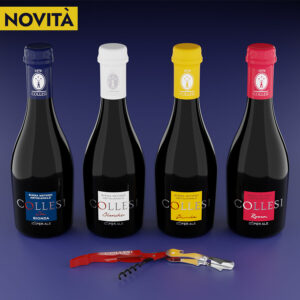 Kit Degustazione birre misto 330 ml