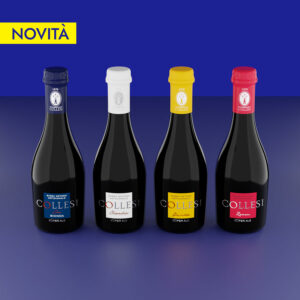 Kit Degustazione birre misto 330 ml