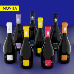 Kit Degustazione birre misto 500 ml