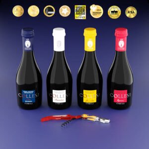 Kit Degustazione birre misto 330 ml
