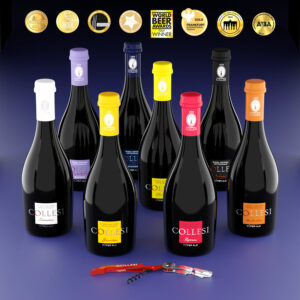 Kit Degustazione birre misto 500 ml