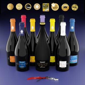 Kit Degustazione birre misto 750 ml