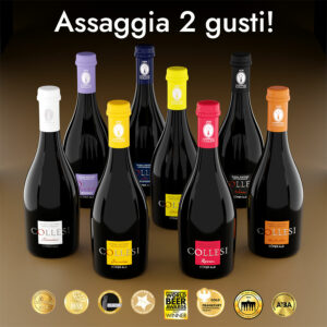 Assaggio Collesi - 2 birre da 500 ml